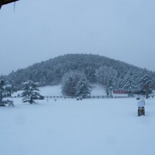 オールテレーン比較 オープンカントリーat ジオランダー グラントレック雪道性能評価 とうもろこしは今年も大豊作