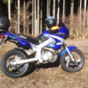 TDR１２５　ツーリングその3　伊豆ツーリング下田まで行ってきた