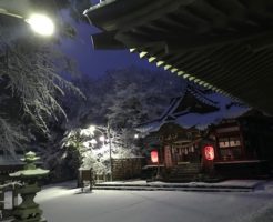 ホンダz の記事一覧